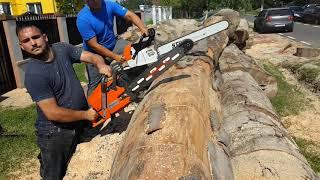 Husqvarna 3120xp vs Stihl ms880