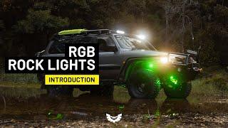 STEDI LED Rock Lights - RGB | Introduction