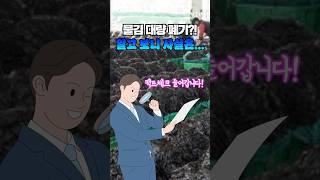물김 대량 폐기?! 진실은 이렇습니다!​ #물김 #김 #양식업 #폐기사태 #팩트체크
