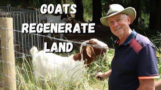 Amazing Results From Regenerative Grazing With Goats (Part One)