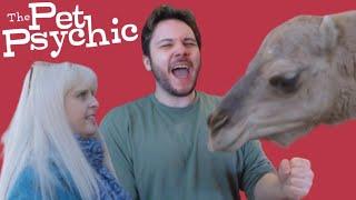 The Pet Psychic Is The Most Pathetic TV Show Ever