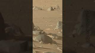 Rare View from Mars 🪐 | Perseverance’s Sol 395 Mastcam-Z Capture 