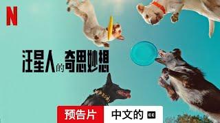 汪星人的奇思妙想 (配有字幕) | 中文的預告片 | Netflix