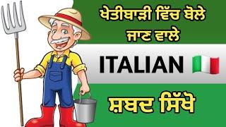 ਇਟਲੀ  ਖੇਤੀਬਾੜੀ ਵਿੱਚ ਵਰਤੇ ਜਾਣ ਵਾਲੇ ਸ਼ਬਦ || Learn Italian  Agriculture Words In Punjabi Part 5