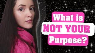 6 Questions to Ask to Know If Its Your Purpose