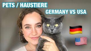 Pets / Haustiere - Germany vs USA