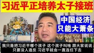 翟山鹰：习近平正在培养自己孩子接班丨中国经济已经透支未来 只能大萧条
