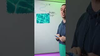 Что будет с э-м волной в воде? | Физика ЕГЭ 2023