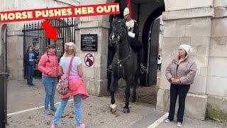 King's Guard Horse Teaches a Stupid Tourist a Lesson for Crossing the Line!