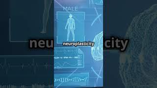 Neuroplasticity  How Your Brain Adapts! #facts #sciencerevealed #scienceandtechnology