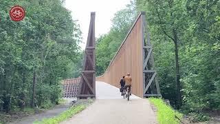 Cycling through the heathland (Belgium)