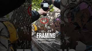 Looking for city frames  #melbournephotographer #streetstylephotography #streetsofmelbourne