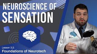 The Neuroscience of Sensation - Lesson 3.2