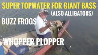 Huge Topwater Bass on Whopper Plopper and Buzz Frogs