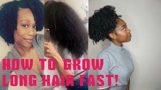 10 TIPS ON HOW TO GROW LONG HEALTHY HAIR FAST! | NICKYBNATURAL