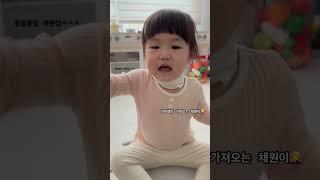 곤충을 좋아하는 채원️️  #육아 #육아일상 #두돌아기 #제발떠라 #말문트일까말까 #옹알이