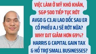 Việc làm ở Mỹ khó khăn, S&P 500 rớt. AVGO & c3.ai lao dốc sau ER.Cổ phiếu AI sẽ rớt nữa?