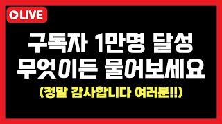 돈보라 구독자 1만명 달성 기념 Q&Aㅣ무엇이든 물어보세요