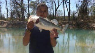 Bass Fishing Over Spring Break/PB Bass 9 Pounds