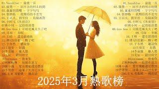 2025流行歌曲2025網路超火歌曲抖音 三月熱門歌曲最火  Douyin 抖音歌曲2025Tiktok 抖音感動洗腦精選神曲必聽 抖音最紅的20首音樂合集 40首超好聽的流行歌曲