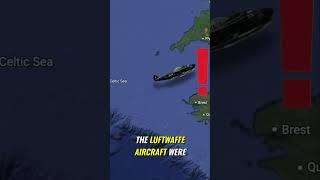 That Time the RAF nearly shot down Churchills Plane during WW2