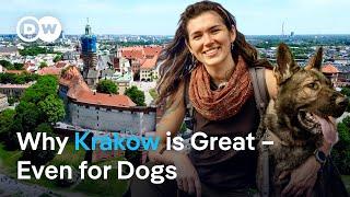 Krakow: Visit a Cultural Gem in Poland with Eva zu Beck