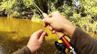 Trout-Fly fishing in Austria II