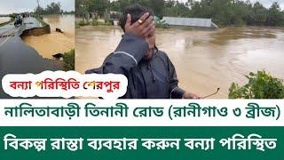 শেরপুর বন্যা পরিস্থিতি নালিতাবাড়ী তিনানী রোড  রানীগাও ৩ ব্রীজ বিকল্প রাস্তা ব্যবহার করুন |SIMPATA TV