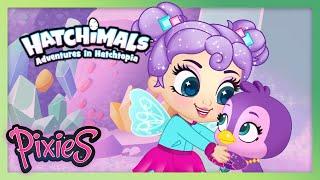 Hatchimals Pixies Episodes 1 to 5  | Adventures in Hatchtopia Compilation | Cartoon for Kids