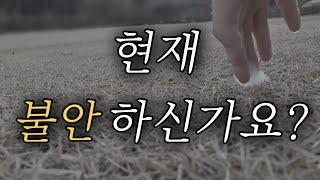 삶이 풀리고 있다는 확실한 신호입니다