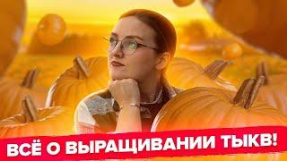 ВСЕ О ВЫРАЩИВАНИИ ТЫКВЫ! Тыква которая хранится 7 лет!