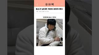 포스가 남다른 기안 강아지 캔디