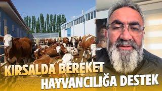 HAYVANCILIĞA DESTEK PROJESİ NASIL ALINIR | KIRSALDA BEREKET HAYVANCILIĞA DESTEK
