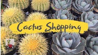 Cactus Shopping | Annual Spring Plant Sale