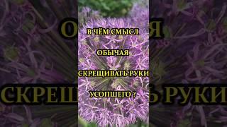Зачем усопшему скрещивают руки?  #pravoslavie #shortsvideo #shortvideo #shorts #short