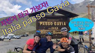 이탈리아 Passo Gavia 업힐 영상 + alpi4000 이란?  이태리 북부 유럽 업힐