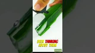 har ek shabd aapke dil ko choo lega aur aapko naye jazbe ke saath aage badhne ke liye prerit karega