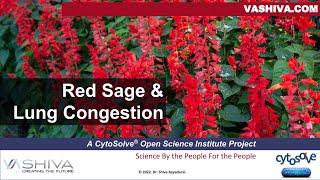 Dr.SHIVA™: Red Sage on Lung Congestion @CytoSolve® Systems Analysis(3/23)