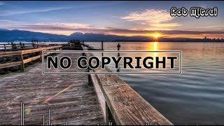 |Tropical House| Rycha - Treasure | Vlog No Copyright Music