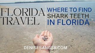 Best Beaches In Florida To Find Sharks Teeth