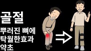 골절에 탁월한 접골목 / 접골목나무효능 접골목 먹는방법