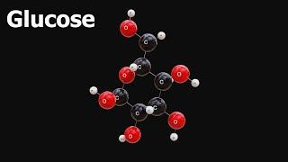 Glucose -  3D Molecule View