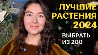  выбрала 10 лучших РАСТЕНИЙ из 200 | самые ВАЖНЫЕ растения 2024 года 