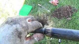 How to Raise Sprinkler Head Too Low Made Easy