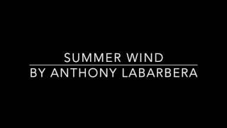 Summer Wind (Frank Sinatra Cover) by Anthony LaBarbera