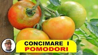 CONCIMARE IL POMODORO