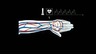 Optical Heart rate monitors, How they work in 60 seconds!