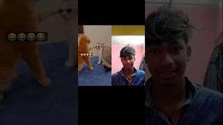 popat kar Diya  reaction video#short #comedy #reaction