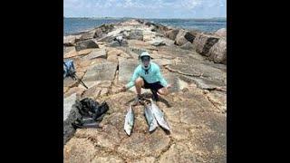 Limit King Mackerel 1 hour , Fishing Port Aransas Jetty, Fishing King Mackerel ,Texas, Port A