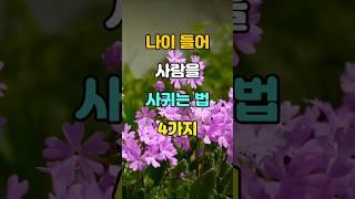 나이 들어 사람을 사귀는 법 4가지  #명언 #좋은글 #지혜